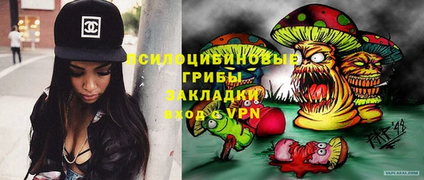 ALPHA PVP Коряжма