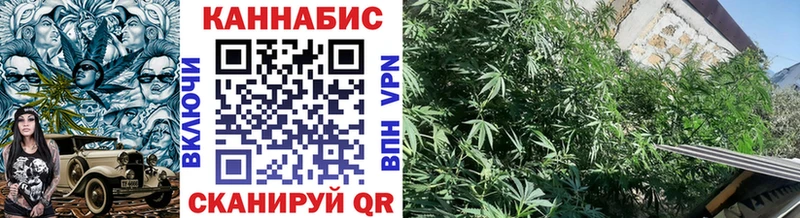 Каннабис Bruce Banner  Купить где  Верея 
